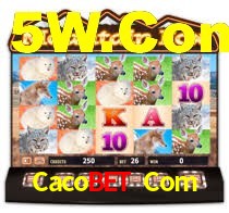 Sinta a adrenalina dos jogos de cassino com Cacobet Com